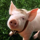 Image for article titled 12 Excellent Movies That Use VFX To Tell A Story